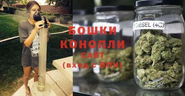 бошки Аркадак